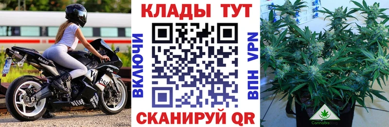 Гашиш Балтийск