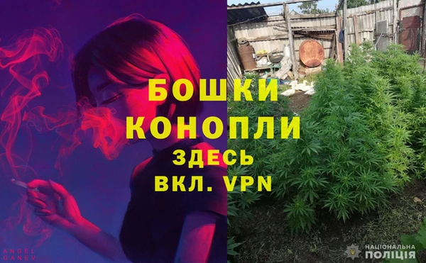 тгк Армянск