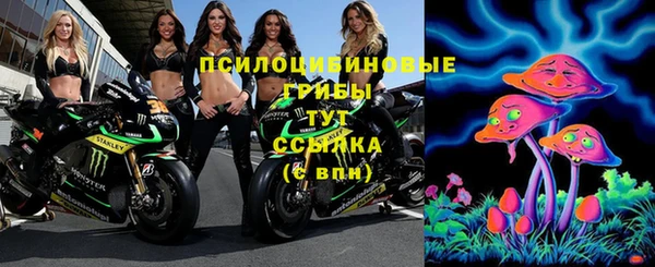 spice Арсеньев