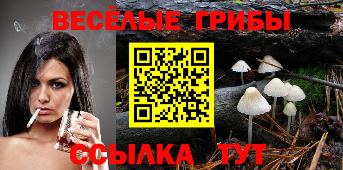 Балтийск  Псилоцибиновые грибы Psilocybe  Вход с VPN  Галлюциногенные грибы Cubensis 